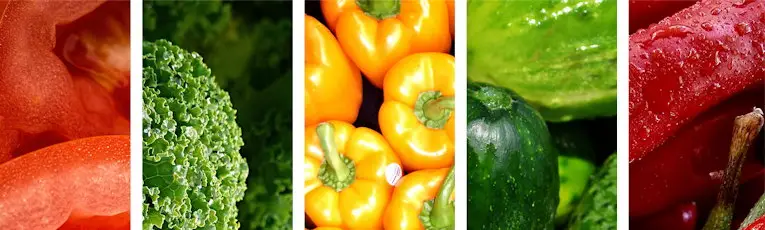 Haute-Vienne Bio, guide du Bio